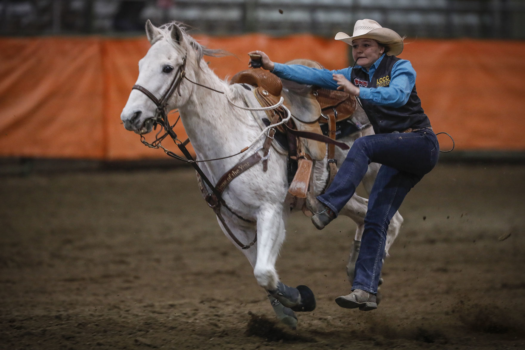 Ropin' and Riggin' Days